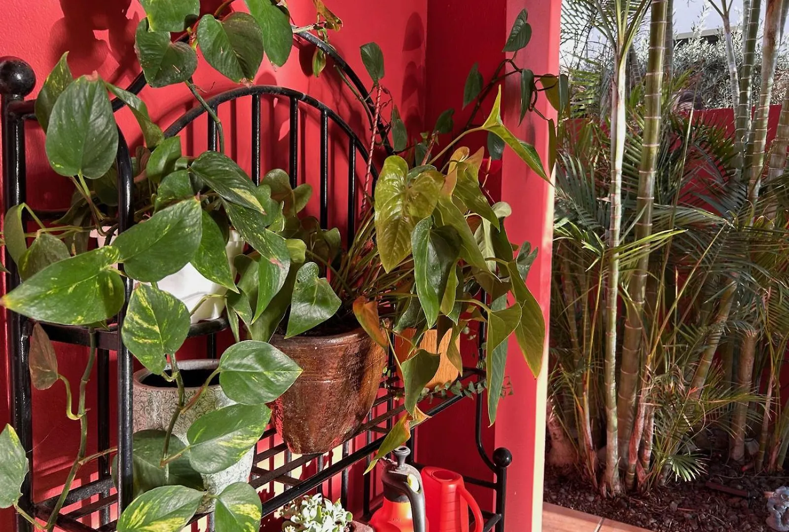 Willa Red-House Costa Adeje  Costa Adeje (Tenerife)